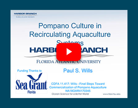 Application of Land-based Recirculating Aquaculture Systems for all Phases of Florida Pompano Aquaculture (Paul Wills)
