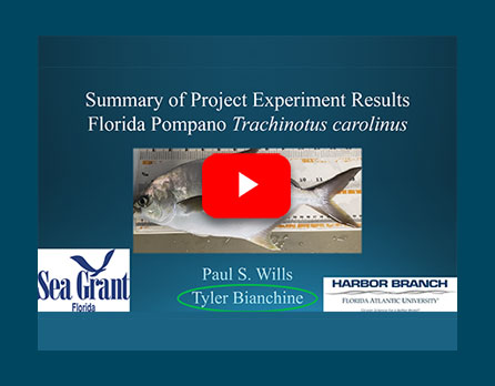 Sea Grant Pompano Aquaculture Project Overview (Paul Wills)