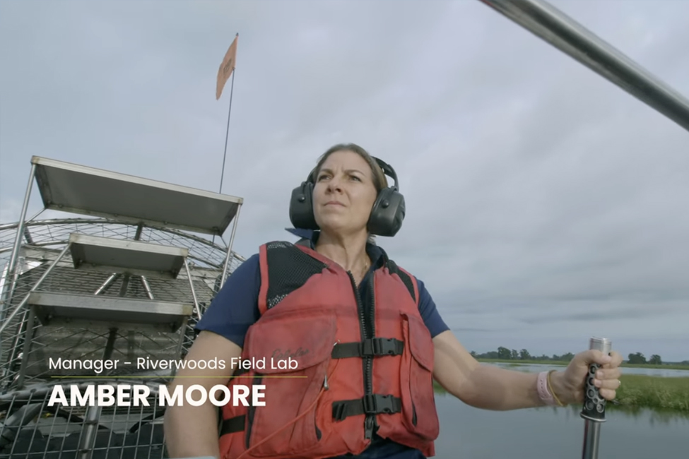 Everglades Stories’ Features FAU's Amber Moore from the Riverwoods Field Lab