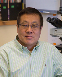 Xin Yuan, M.D., Ph.D.