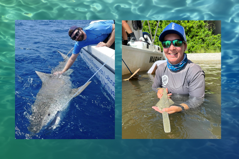 Two Science Graduate Students Named Inaugural Recipients of Guy Harvey Fellowship for Marine Science Research